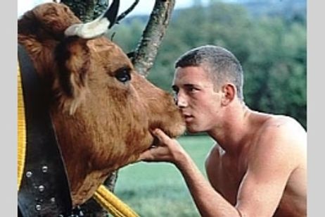 夢だと云って メイン画像