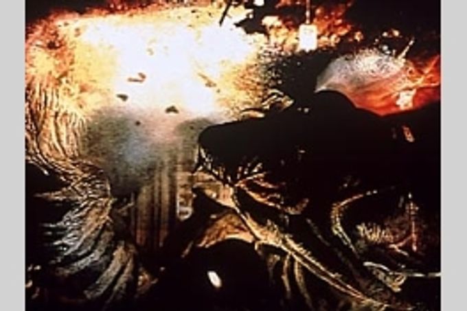 怪獣大決戦ヤンガリー
