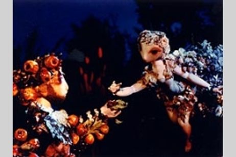 ＜真夏の夜の夢　イジー・トルンカの世界＞ メイン画像