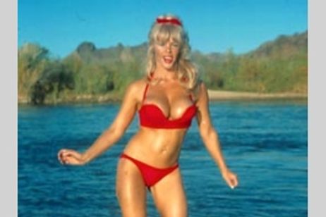 カモンロー・キャビン メイン画像