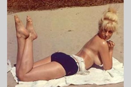 マッド・ハニー メイン画像