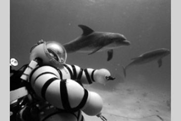 フライト・オブ・ザ・アクアノート