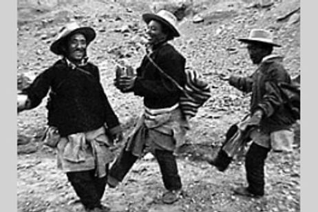 ゴンプーの幸福な生活 メイン画像