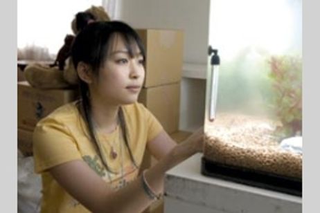 恋する日曜日(2005) メイン画像