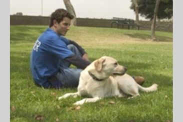 ドッグ ラバーズ シンフォニー