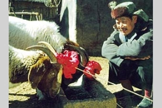 ようこそ、羊さま。