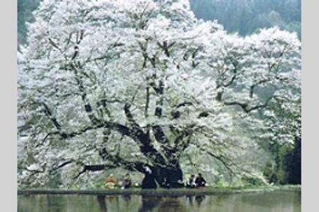 美式天然 メイン画像