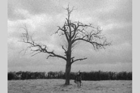 朱霊たち メイン画像