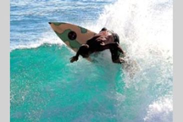 ライフ・スタイル・オブ・ジェリー・ロペス　ザ・クリーネスト・ライン