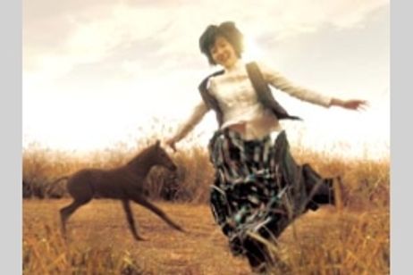 角砂糖 メイン画像