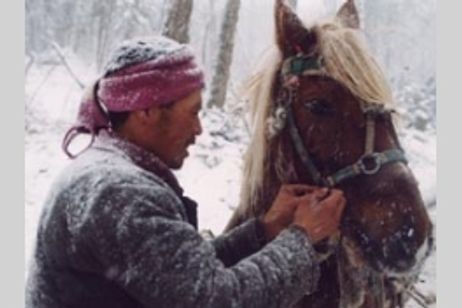 最後の木こりたち メイン画像