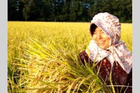 六ヶ所村通信no.4 メイン画像