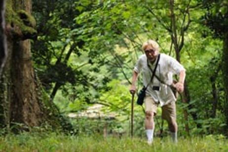 黄金花　秘すれば花、死すれば蝶 メイン画像