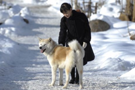 スノープリンス　禁じられた恋のメロディ メイン画像