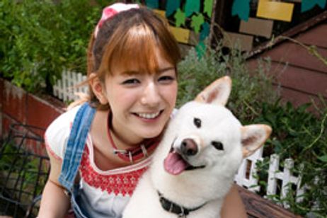 いぬばか メイン画像