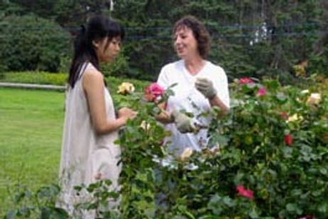 アンを探して メイン画像