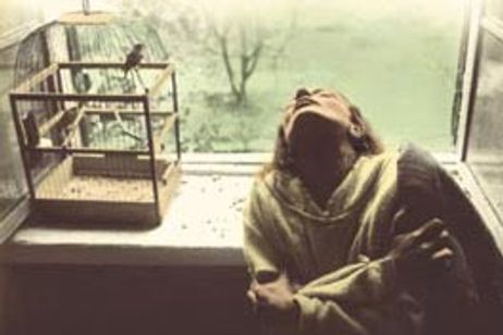 ボヴァリー夫人 メイン画像