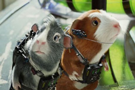 スパイアニマル・Gフォース メイン画像