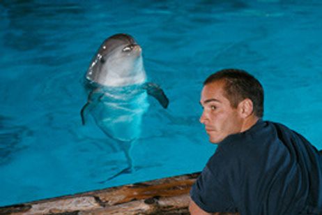 グラン・ブルー 完全版 デジタル レストア バージョン メイン画像