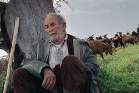 四つのいのち メイン画像