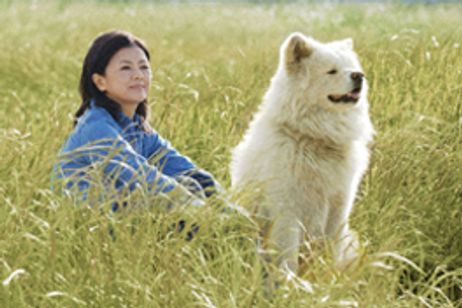 わさお メイン画像