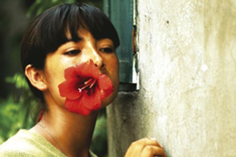 悲しみのミルク メイン画像