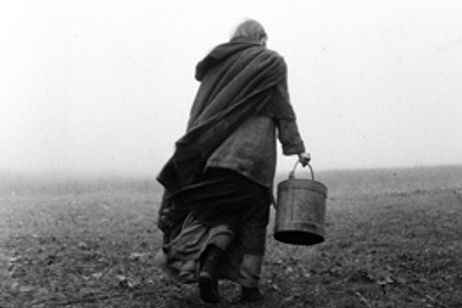 ニーチェの馬 メイン画像