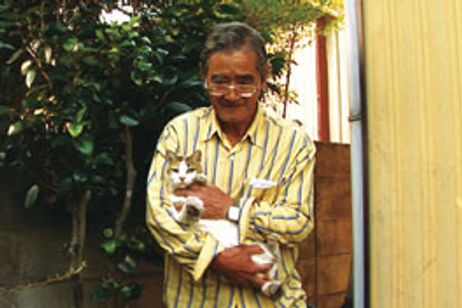 Peace ピース メイン画像