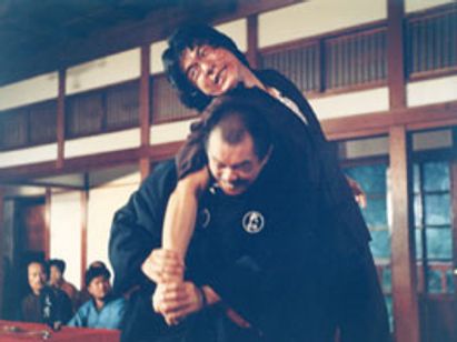 レッド・ドラゴン 新・怒りの鉄拳 メイン画像