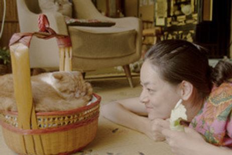 レンタネコ メイン画像