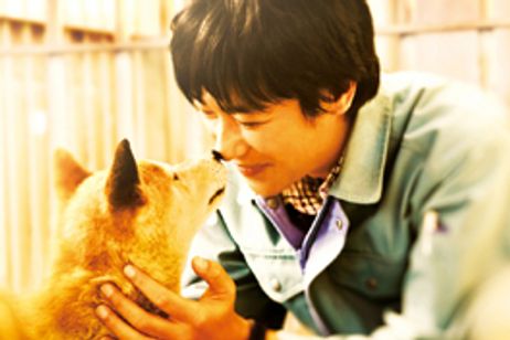 ひまわりと子犬の7日間 メイン画像