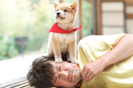 マメシバ一郎 メイン画像