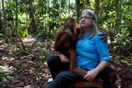 BORN TO BE WILD 3D 野生に生きる メイン画像