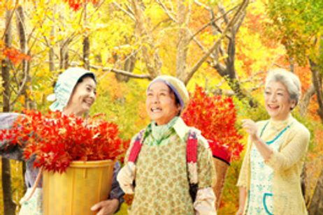 人生、いろどり メイン画像