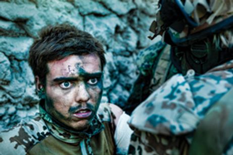 アルマジロ メイン画像