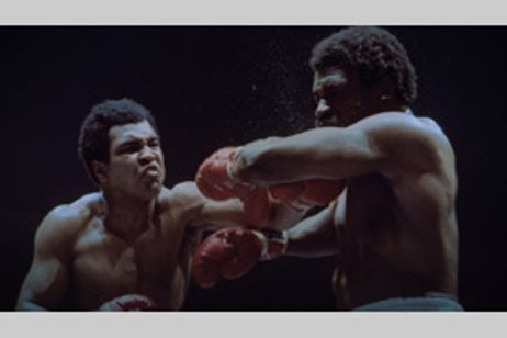 フェイシング・アリ メイン画像