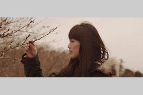 桜並木の満開の下に メイン画像