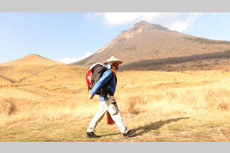 ネガティブ：ナッシング　全てはその一歩から メイン画像