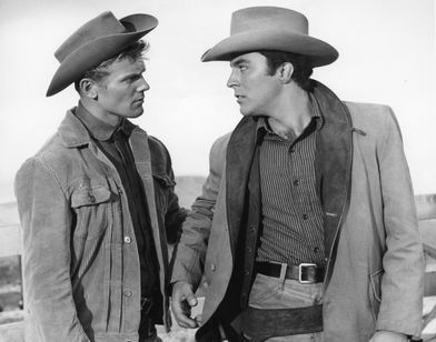 草原の野獣 メイン画像