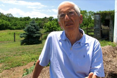 フォークス・オーバー・ナイブズ いのちを救う食卓革命 メイン画像