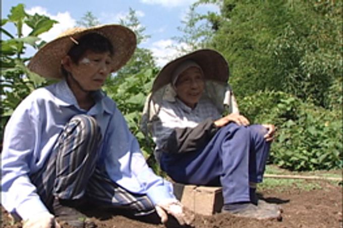 食卓の肖像