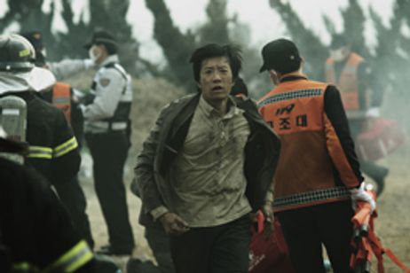 ヨンガシ 変種増殖 メイン画像