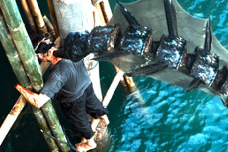 シー・トレマーズ メイン画像