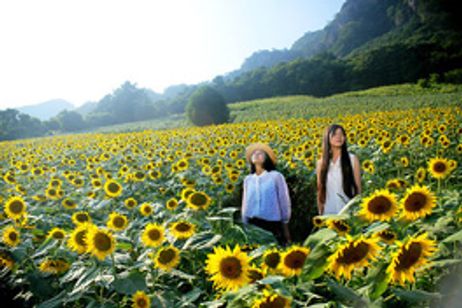 瞬間少女 メイン画像