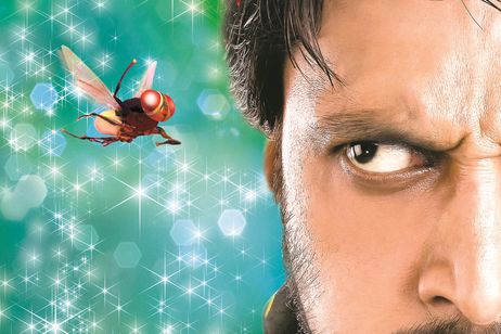 マッキー メイン画像