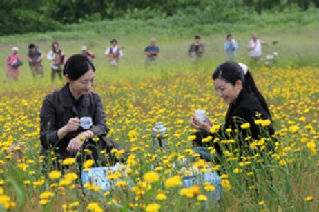 野のなななのか メイン画像