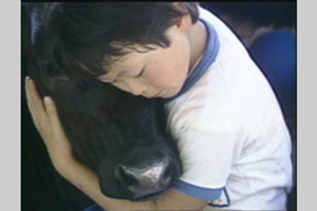 夢は牛のお医者さん メイン画像