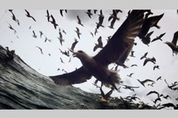 リヴァイアサン