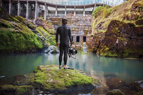 ダムネーション メイン画像