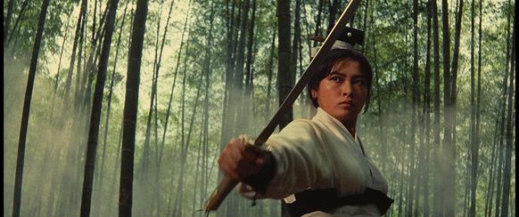 侠女 第一部：チンルー砦の戦い